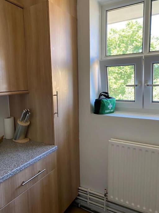 Lovely 2 Bedroom Flat In Greater London Exterior foto